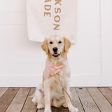 paloma dog bandana