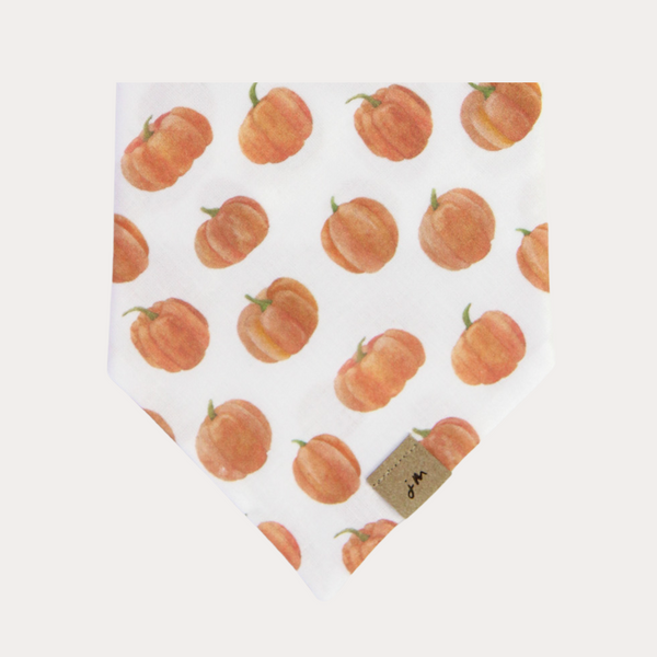 pumpkin patch dog bandana