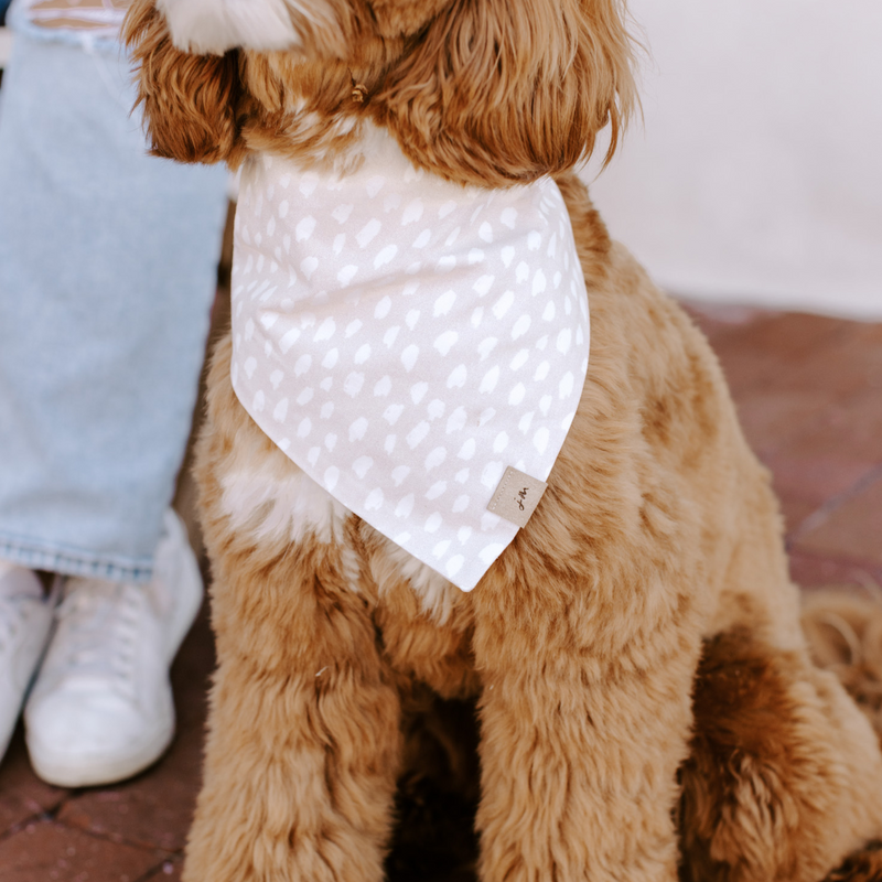 sea salt dog bandana
