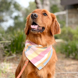 spring stripes dog bandana