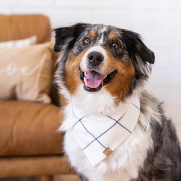 white winter flannel dog bandana