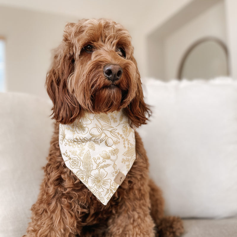 noel dog bandana