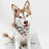 palm beach dog bandana