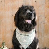 mint forest dog bandana