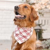 holly plaid dog bandana