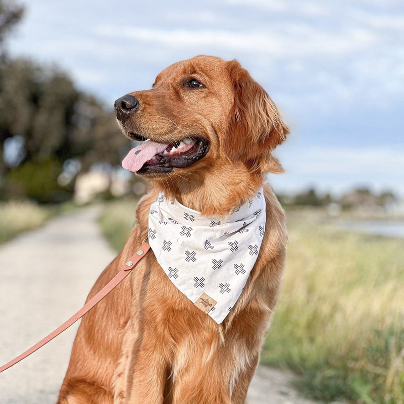 keep it simple dog bandana