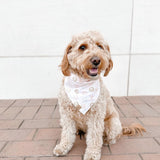 all smiles dog bandana