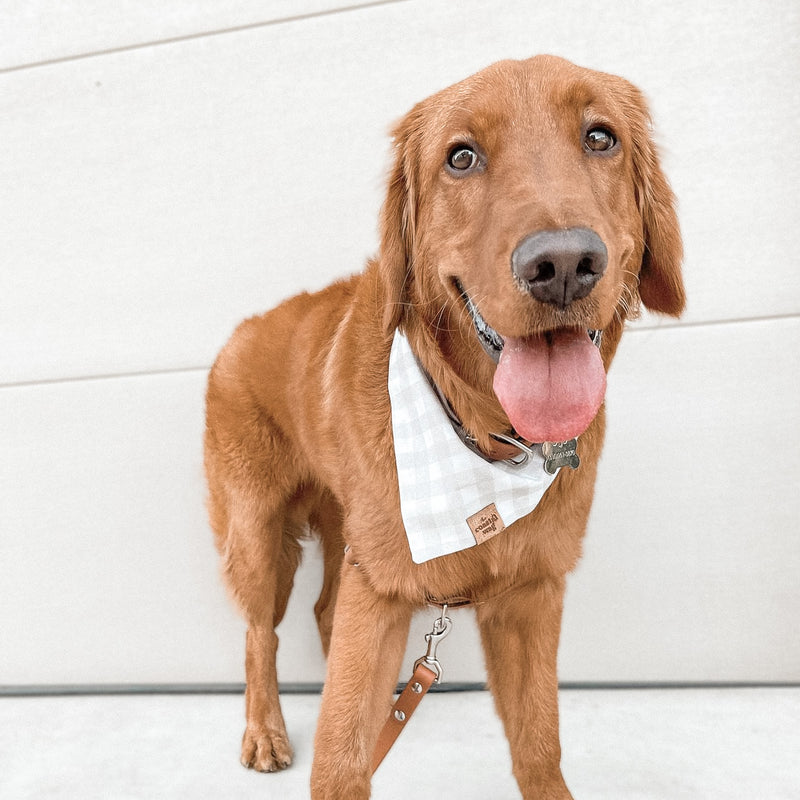 gloomy gingham dog bandana