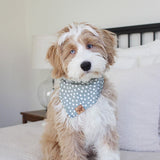 evergreen dog bandana