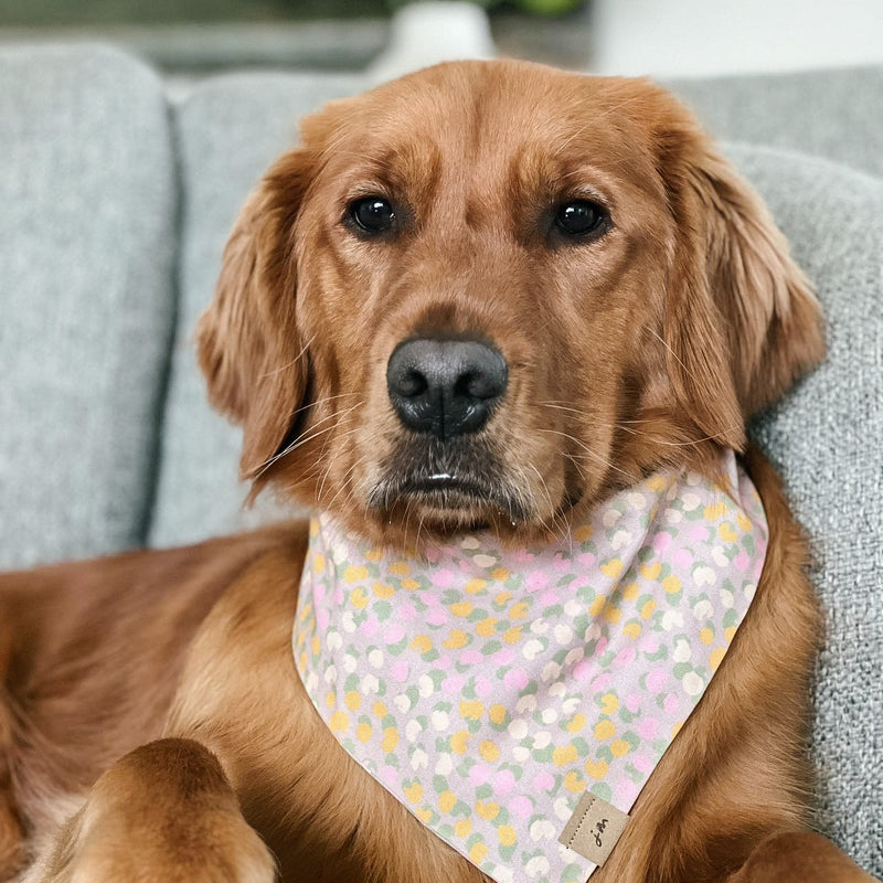 peonies dog bandana