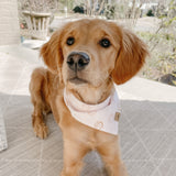 all smiles dog bandana