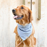pacific dog bandana